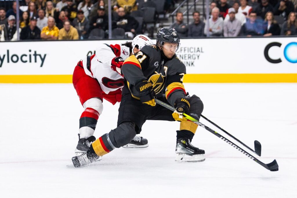 251020_goldenknights_vs_hurricanes-18-original