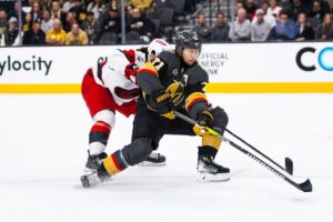251020_goldenknights_vs_hurricanes-18-original